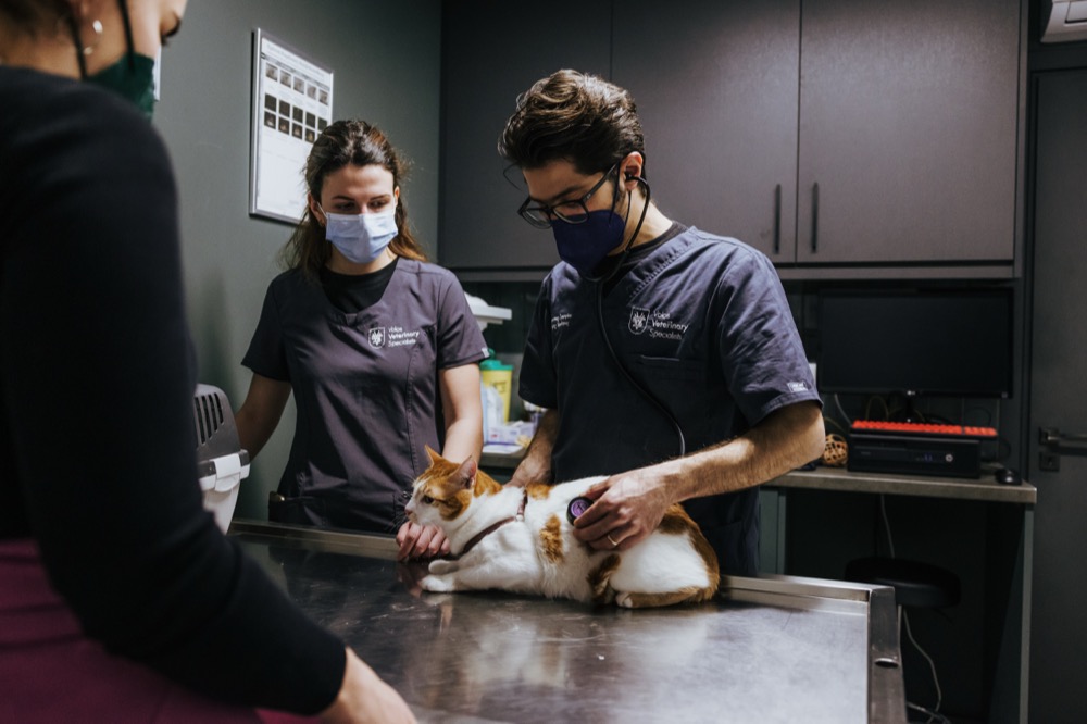 Στο Βόλο η πρότυπη εξειδικευμένη φροντίδα για την ευζωία των ζώων συντροφιάς – ONLARISSA.GR Νέα Ειδήσεις Λάρισα