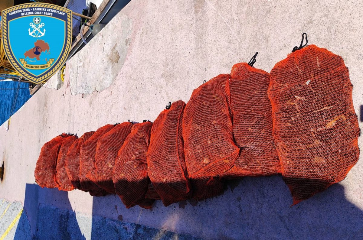Σκιάθος:΅Εντοπίστηκε σκάφος που αλίευσε παράνομα ποσότητα αχινού