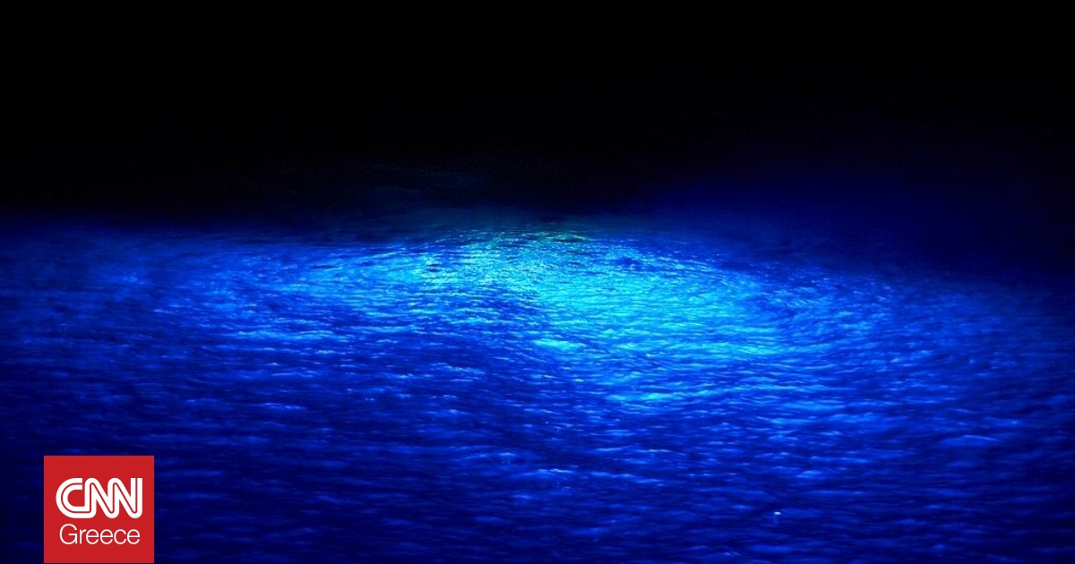 Έκθεση ΜΚΟ: Τεράστια έλλειψη κεφαλαίων που είναι απαραίτητα για την προστασία των ωκεανών