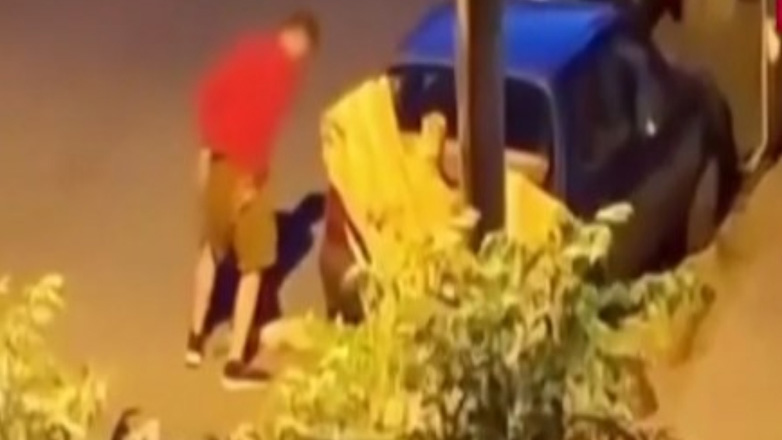 Θεσσαλονίκη: Συνελήφθη 34χρονος που βασάνισε και σκότωσε γάτα στην Καλαμαριά