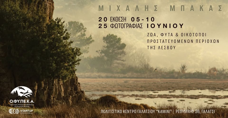 Έκθεση φωτογραφίας του Μ. Μπάκα: «Φωτογραφίζω τις ομορφιές της Λέσβου για να δείξω ότι αξίζει προστασίας»