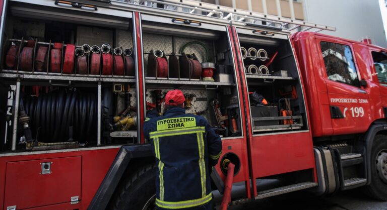Θεσσαλονίκη: Φωτιά σε ξερά χόρτα στον δήμο Δέλτα