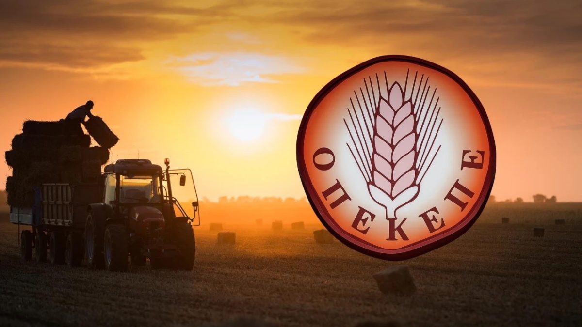 46.000 ευρώ σε αγρότισσα για ανύπαρκτες εκτάσεις στα Τρίκαλα – ONLARISSA.GR Νέα Ειδήσεις Λάρισα