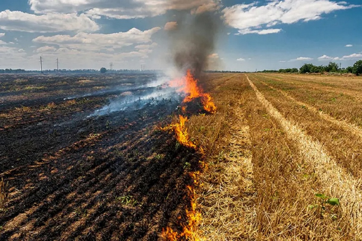 Άνω των 58.000 ευρώ τα πρόστιμα για καύση υπολειμμάτων καλλιεργειών στη Θεσσαλία
