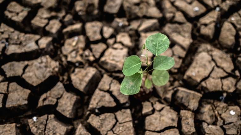 Το πρόβλημα λειψυδρίας στην Π.Ε Καρδίτσας στη συνεδρίαση λογοδοσίας