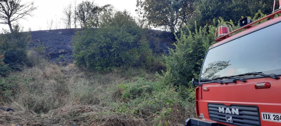 Καρδίτσα: 400 στρέμματα έγιναν στάχτη από την πυρκαγιά μεταξύ Ρούσσου