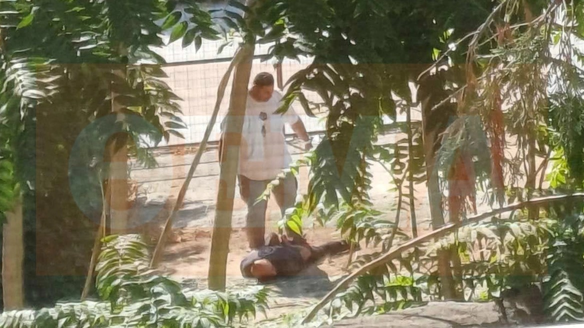 Η στιγμή της σύλληψης του δολοφόνου στο οικόπεδο του Βόλου