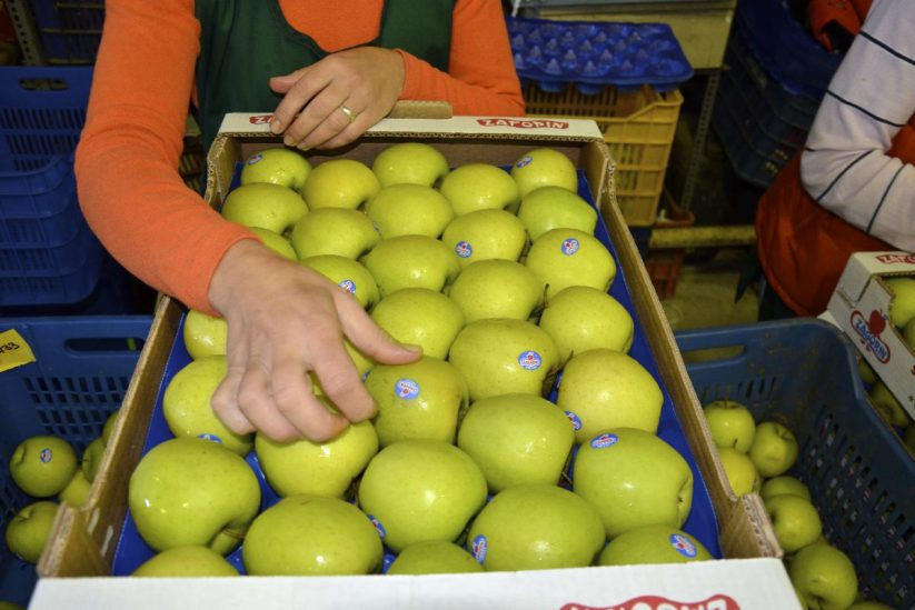 Θέσεις εργασίας στον Αγροτικό Συνεταιρισμό Ζαγοράς Πηλίου – «ZAGORIN»