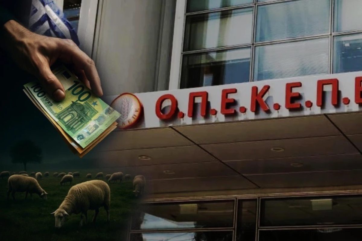 Ιδιωτικό ΚΤΕΟ στη Θεσσαλία πήρε παράνομη επιδότηση κοντά στα 200.000 ευρώ! – ONLARISSA.GR Νέα Ειδήσεις Λάρισα