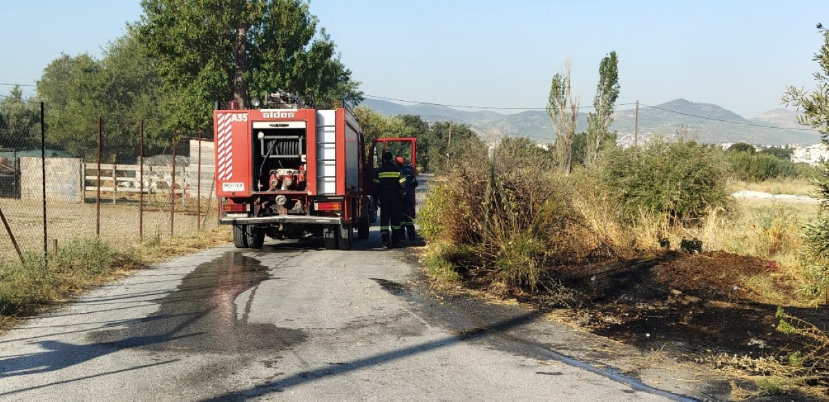 Πρόλαβαν φωτιά σε ξερά χόρτα στο Αλιβέρι – ONLARISSA.GR Νέα Ειδήσεις Λάρισα