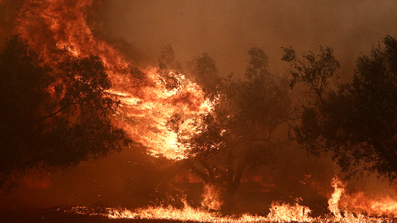 Καστοριά: Ενισχύθηκαν οι δυνάμεις στη δασική πυρκαγιά στο Μακροχώρι
