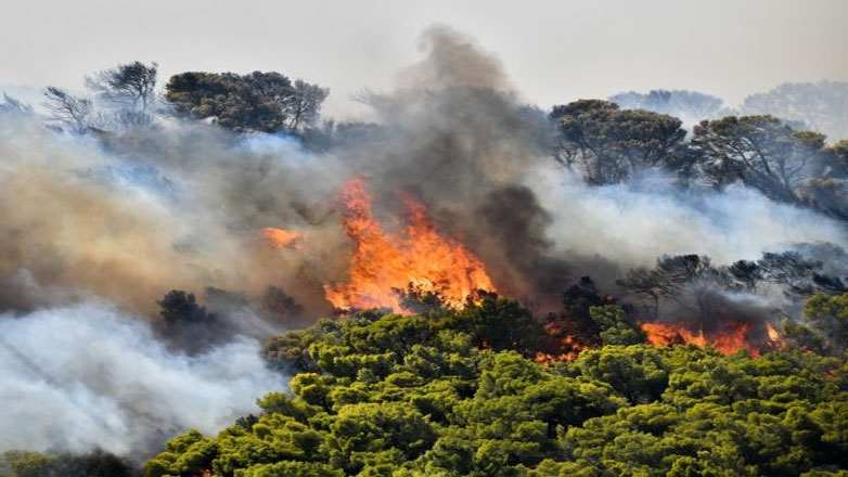 Βοιωτία: Φωτιά σε εξέλιξη στην περιοχή Πάνακτο Δερβενοχωρίων