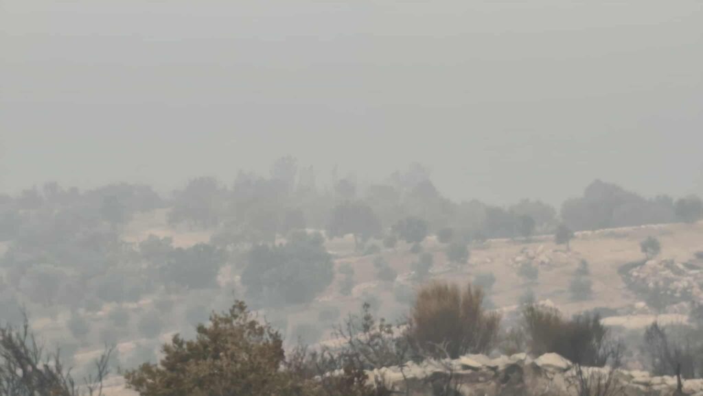 Χωρίς ενεργό μέτωπο η πυρκαγιά στη Χίο
