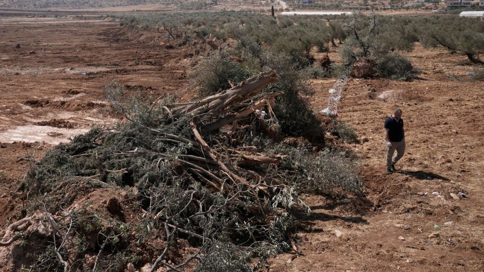 Μπουλντόζες ξερίζωσαν ελαιόδεντρα σε ένα χωριό της Δυτικής Όχθης
