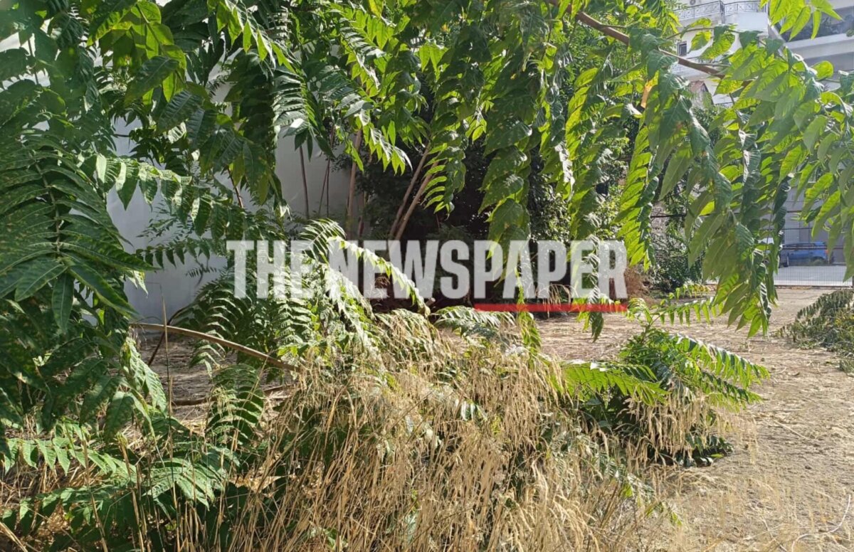 Βόλος: Αυτό είναι το σημείο που εντοπίστηκε ο δολοφόνος της 36χρονης