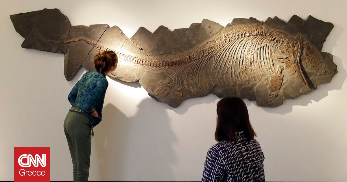 Άθικτο απολίθωμα ιχθυόσαυρου εντοπίστηκε στην Αυστραλία – «Ο θηρευτής των προϊστορικών θαλασσών»