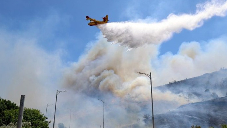 Εύβοια: Πυρκαγιά στην περιοχή Μαούνης