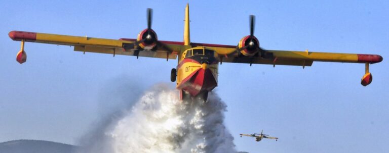 Μεγάλη φωτιά σε δάσος στη Θεσπρωτία