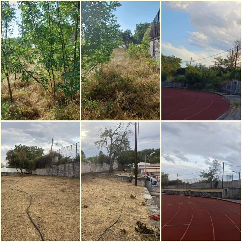 Φ.Σ Κοζάνη – ΣΦΚ “Τα Λιοντάρια”: «Όποιος θέλει και ενδιαφέρεται, τα καταφέρνει…»