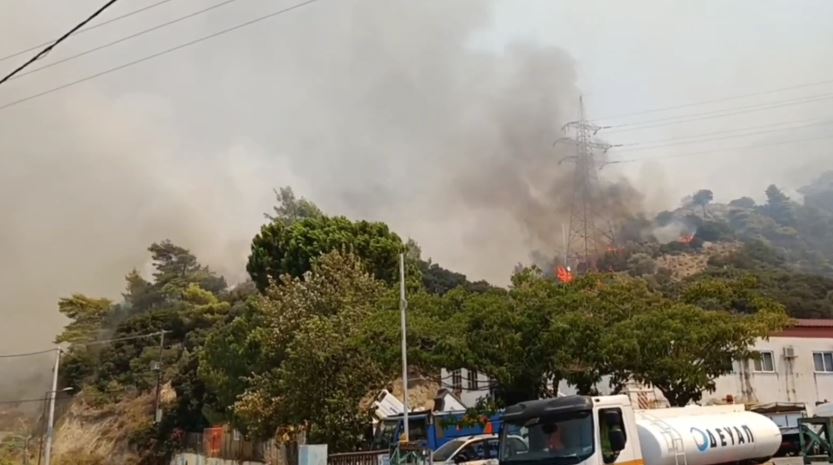 Ερώτηση Σκιαδαρέση για την επιβάρυνση της δημόσιας υγείας από τις πυρκαγιές