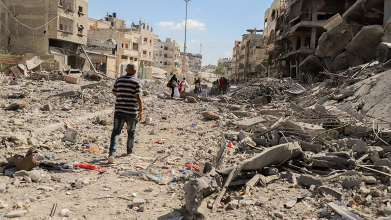 Γάζα: «Ακόμη και τα αδέσποτα σκυλιά έχουν γίνει επικίνδυνα»