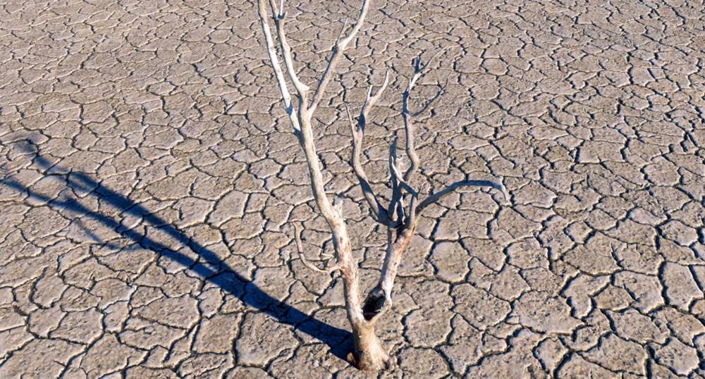 Το καλοκαίρι του 2025: οι προφητείες της «κλιματικής κόλασης» και η ψυχρή πραγματικότητα