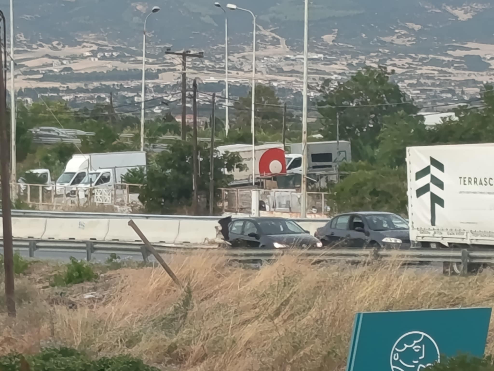 Θεσσαλονίκη: Τραυματισμένος πελαργός στη Μουδανιών (PHOTO)