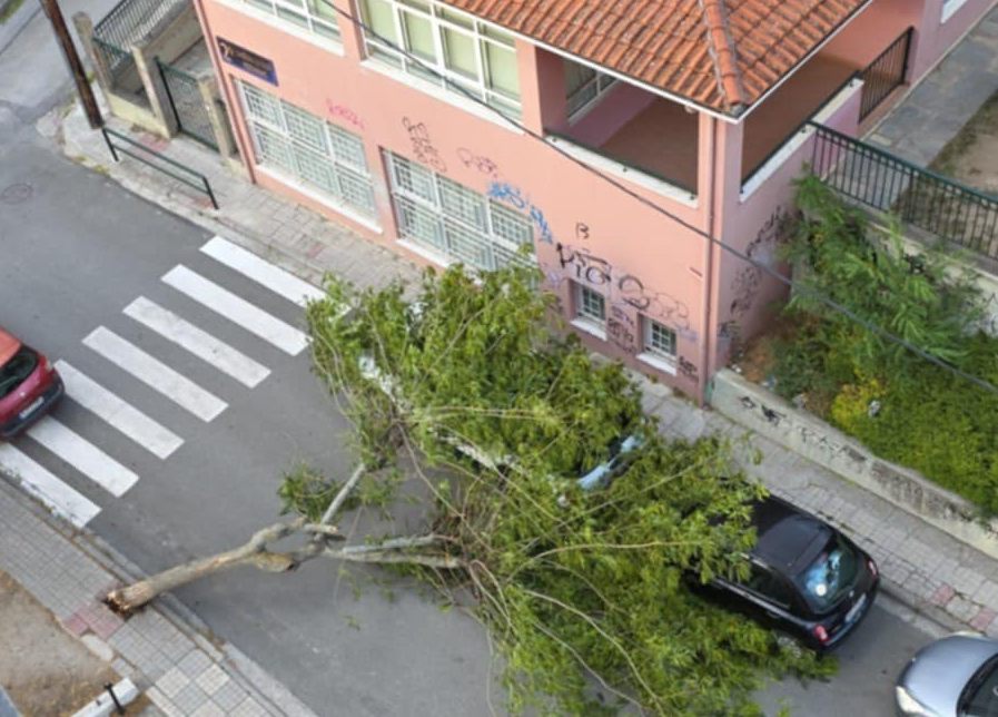 Θεομηνία στην Κοζάνη – Έξι φωτιές και πτώσεις δέντρων – Επί ποδός Πυροσβεστική και Αστυνομία
