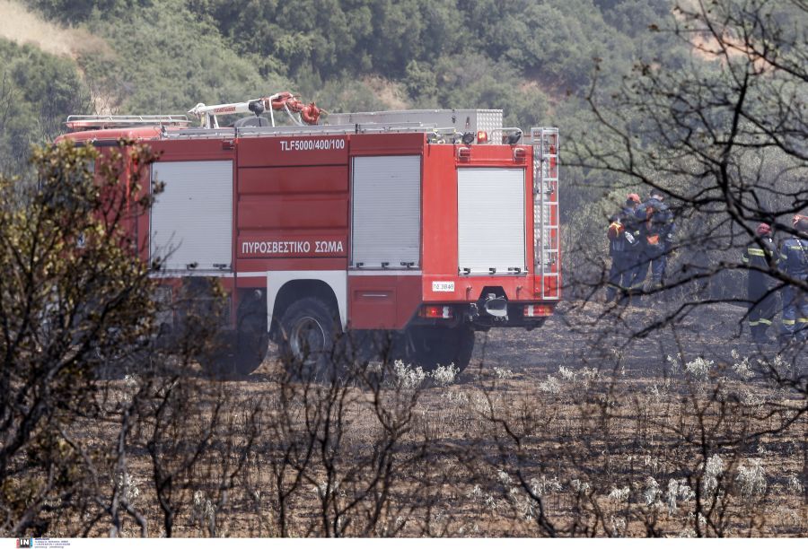 Θεσσαλονίκη: Από μελίσσια ξεκίνησε η φωτιά στον Χορτιάτη (VIDEO)