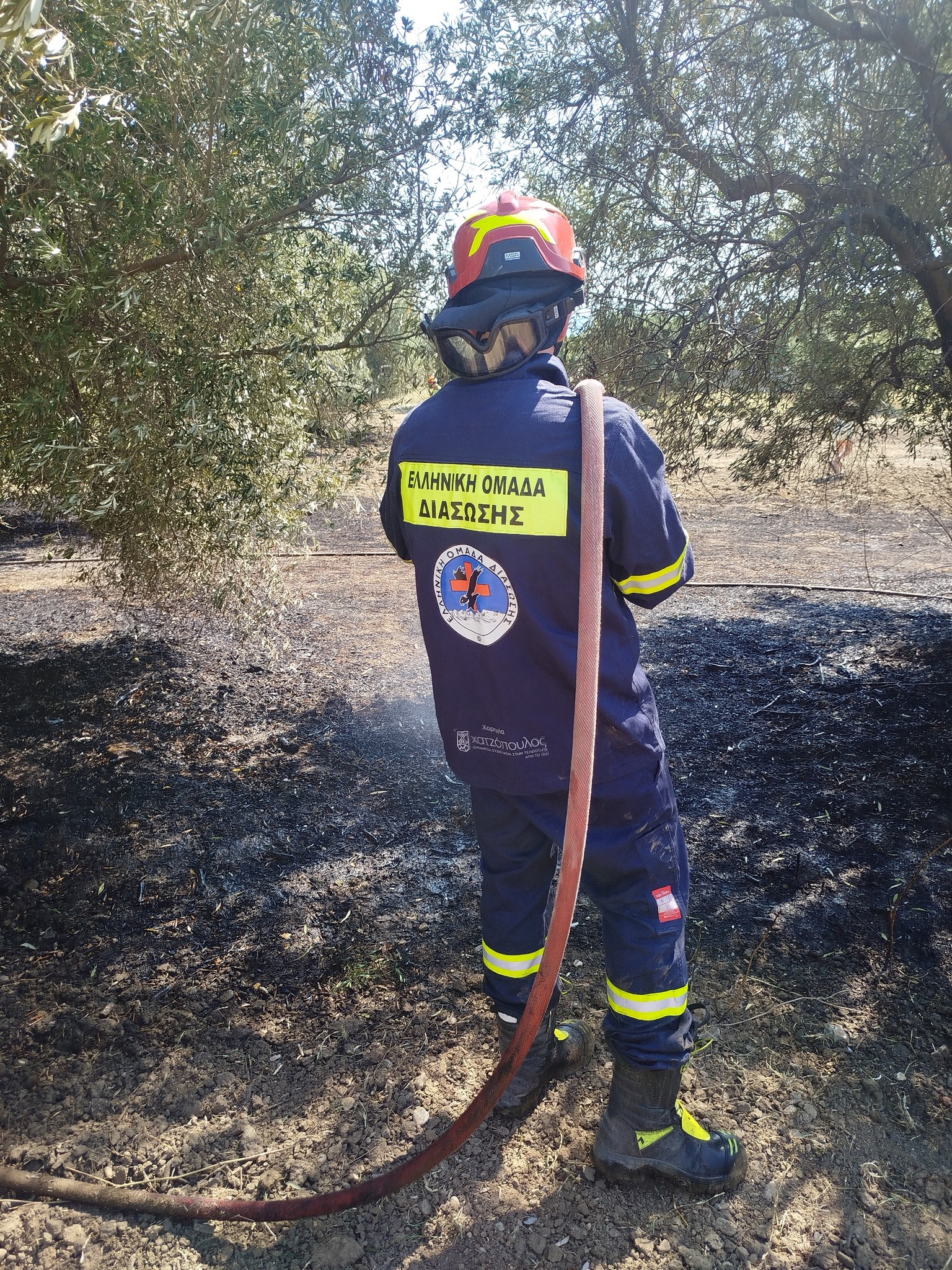 Χαλκιδική: Υπό έλεγχο τέθηκε φωτιά στη Νέα Σκιώνη