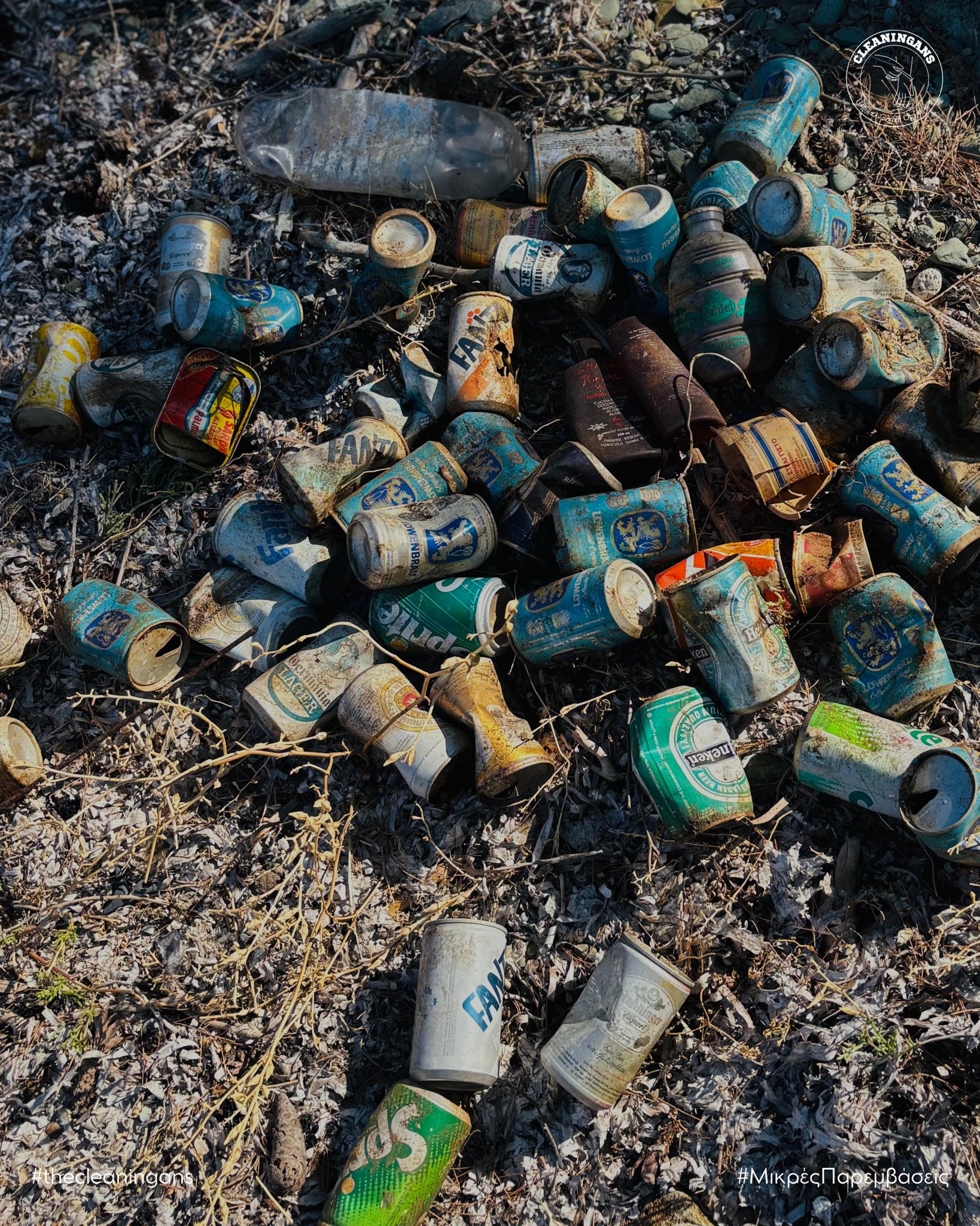 Cleaningans: Σκουπίδια 40 ετών «ξέρασε» η Χαλκιδική