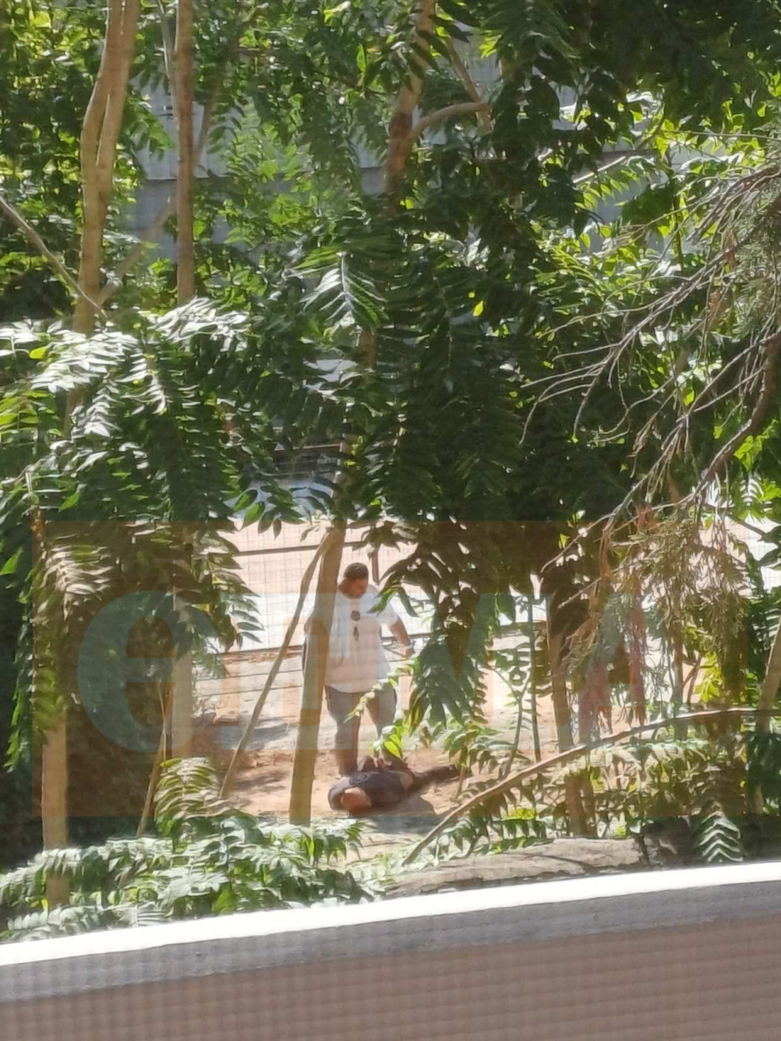 Η στιγμή που συλλαμβάνουν τον συζυγοκτόνο στον Βόλο – «Δεν μετανιώνω» (βίντεο)