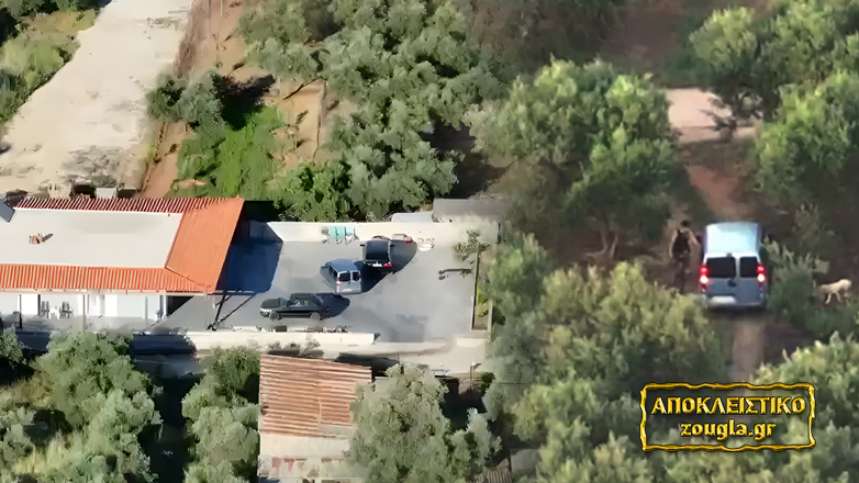Βίντεο ντοκουμέντο: Κρυμμένοι σε ελαιώνες διακινούσαν ναρκωτικά και όπλα