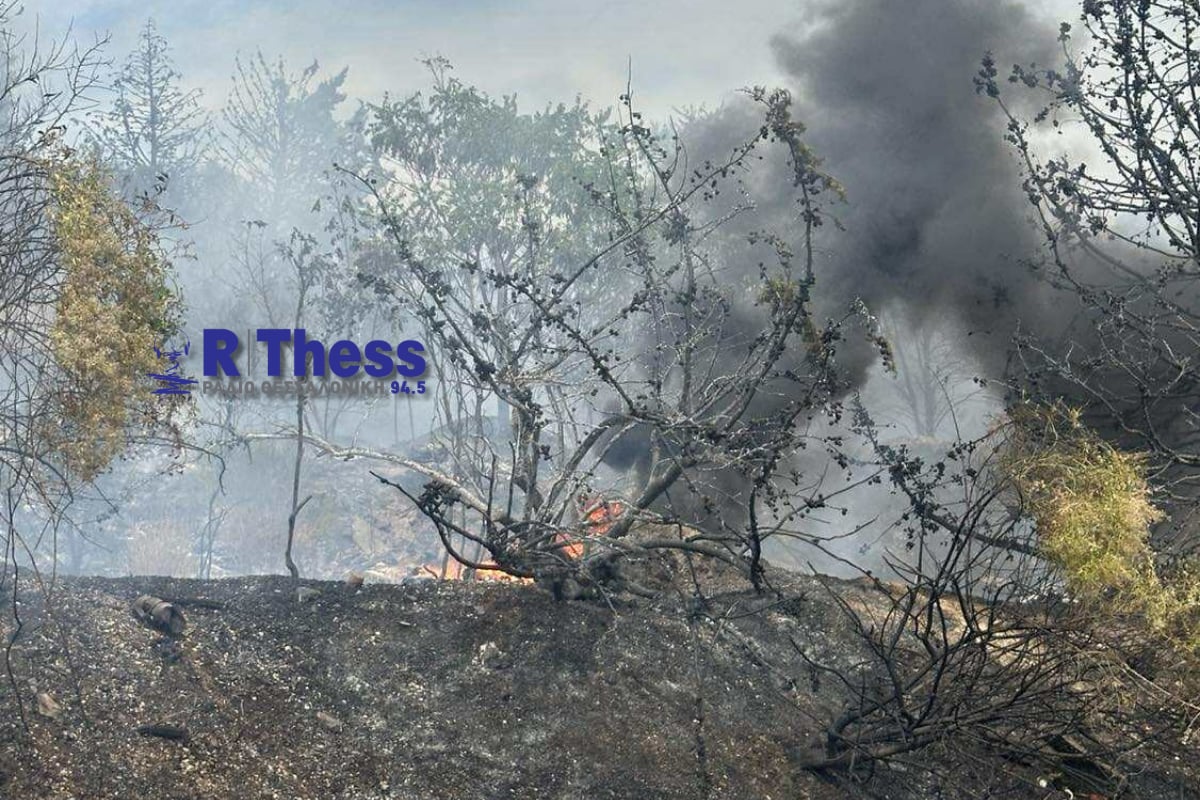 Θεσσαλονίκη: Οριοθετήθηκε η φωτιά στον Χορτιάτη