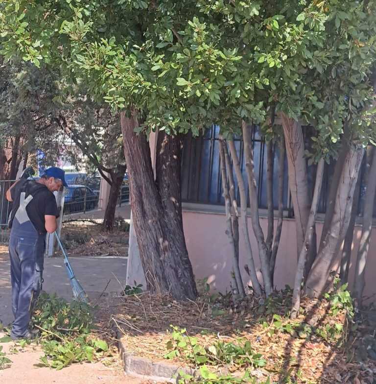 Κλαδέματα και καθαριότητα σε σχολεία του Δήμου Καβάλας