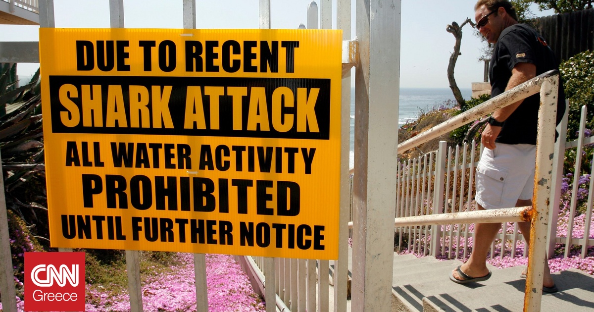 Έλληνας ομογενής ο 57χρονος που σκοτώθηκε από επίθεση καρχαρία στην Αυστραλία