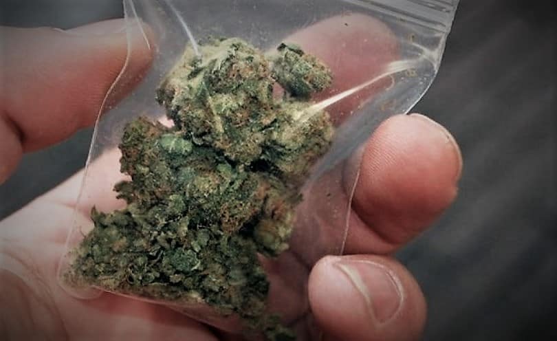 Συλλήψεις σε Σκιάθο και Βόλο για κοκαΐνη και χασίς – ONLARISSA.GR Νέα Ειδήσεις Λάρισα