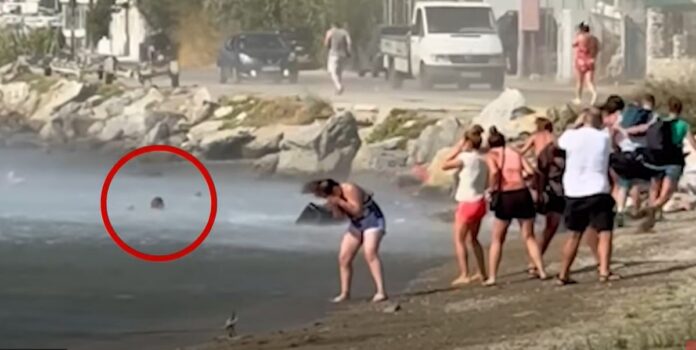 Τουρμπίνες αεροσκάφους «πέταξαν» βαλίτσες τουριστών στο νερό (βίντεο) – ONLARISSA.GR Νέα Ειδήσεις Λάρισα