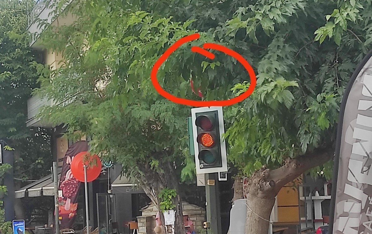 Κόψιμο στα κλαδιά για να μην συμβεί ατύχημα – ONLARISSA.GR Νέα Ειδήσεις Λάρισα