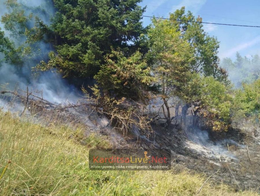 Δασική πυρκαγιά στο Νεοχώρι Καρδίτσας