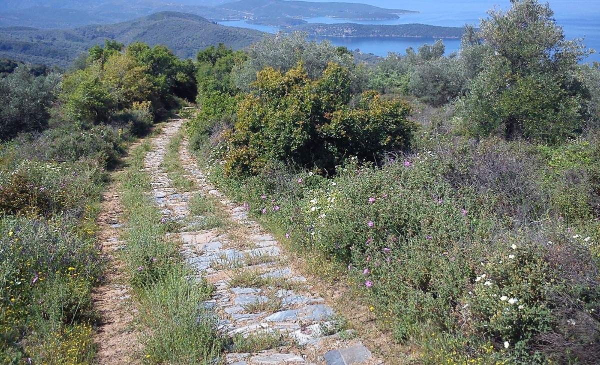 Επιχείρηση μεταφοράς πεζοπόρου από το Πήλιο στο Κέντρο Υγείας Αργαλαστής – Αισθάνθηκε δυσφορία, κάλεσε το 112