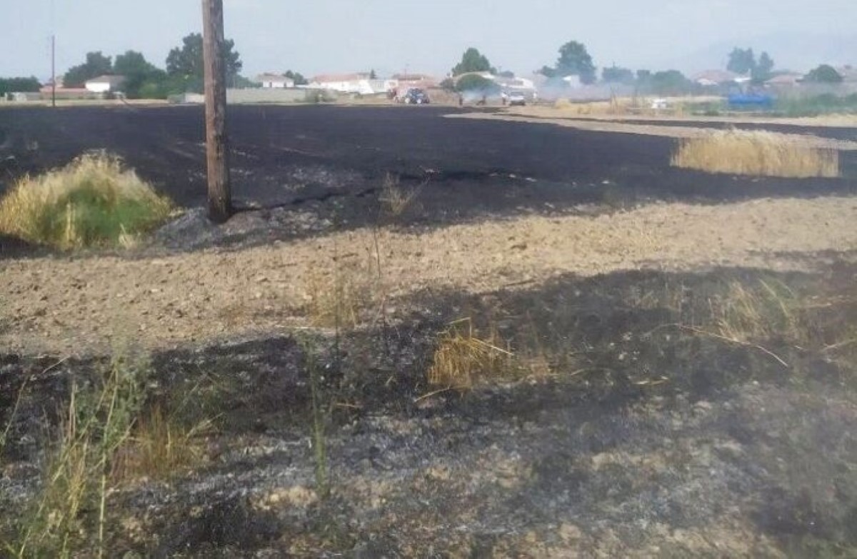 Φωτιά σε καλαμιές στον Αλμυρό – ONLARISSA.GR Νέα Ειδήσεις Λάρισα