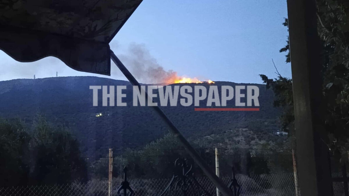 Βόλος: «Μάχη» δίνουν οι πυροσβέστες για να θέσουν τη φωτιά υπό έλεγχο (φώτο