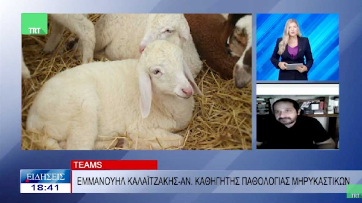 «Ο εμβολιασμός δεν είναι λύση – Θέτει σε κίνδυνο τη φέτα και την επιβίωση της κτηνοτροφίας» (βίντεο) – ONLARISSA.GR Νέα Ειδήσεις Λάρισα