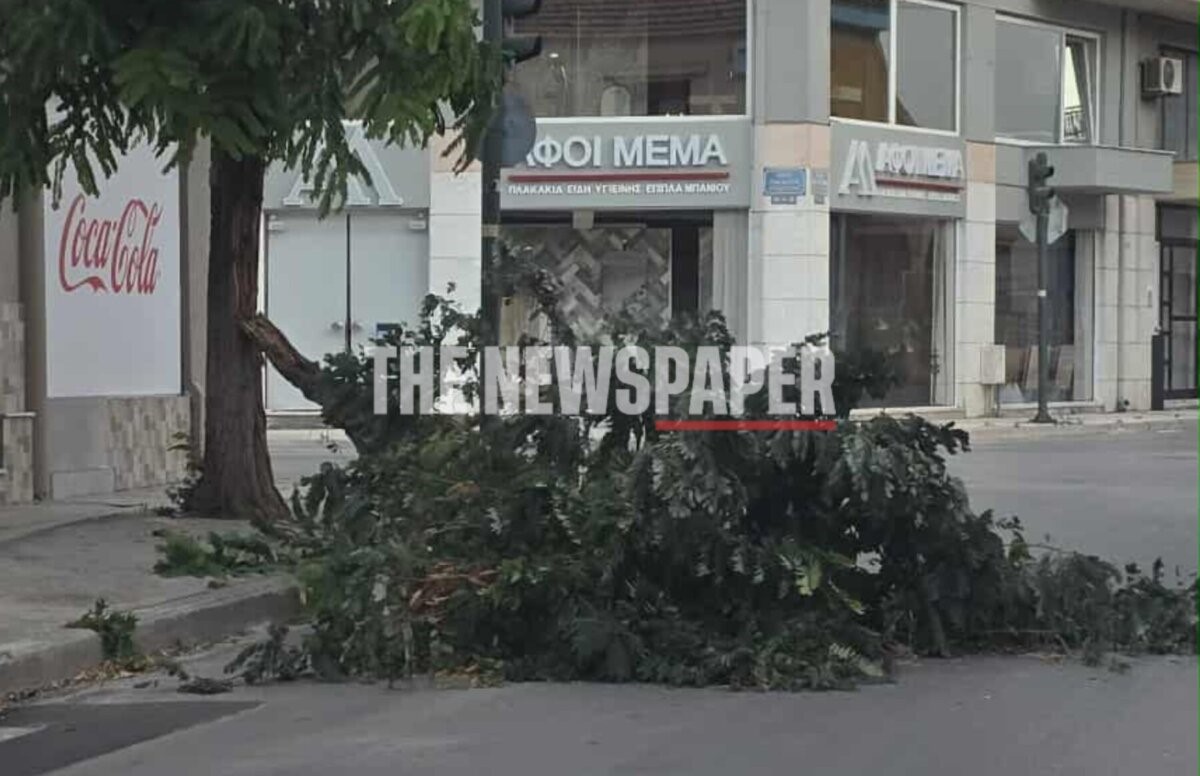 Εικόνες σοκ αντίκρισαν οι Βολιώτες σήμερα το πρωί – Οι ισχυροί άνεμοι έριξαν δεκάδες δέντρα στην πόλη (εικόνες)