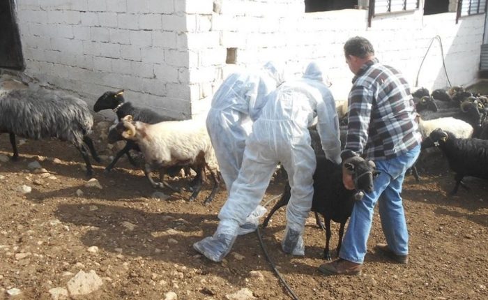 Oι κτηνοτρόφοι Θεσσαλίας για τη συνάντηση με τον Περιφερειάρχη, Δ. Κουρέτα