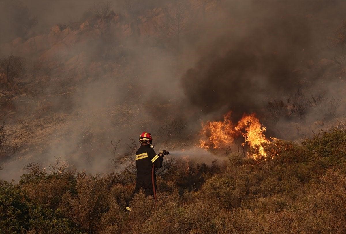 Στάχτη 250 στρέμματα ελαιών στους Αγίους Θεοδώρους – ONLARISSA.GR Νέα Ειδήσεις Λάρισα