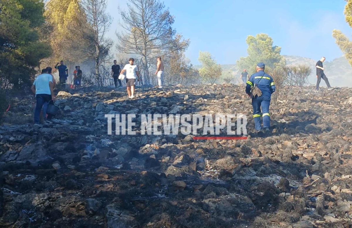 Βόλος: Πώς σώθηκαν κατοικίες από τη πύρινη λαίλαπα – Τεράστια κινητοποίηση επίγειων και εναέριων μέσων (φωτο