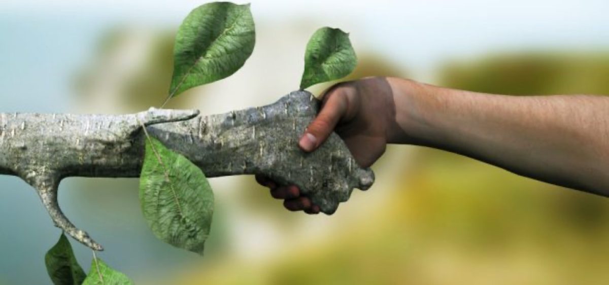 Ημερίδα στον Βόλο από την Περιφέρεια Θεσσαλίας με θέμα “Περιβάλλον και υγεία”