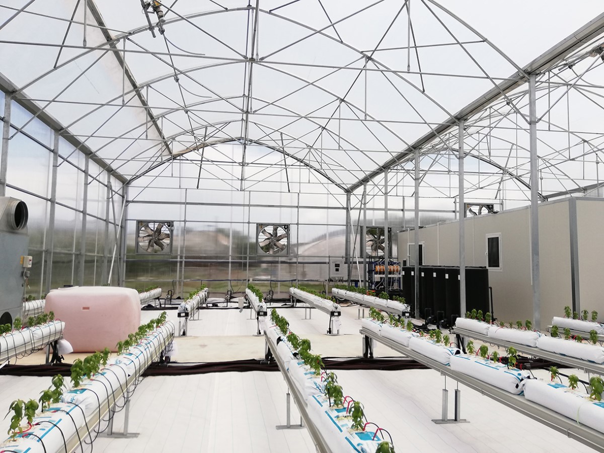 Ημερίδα παρουσίασης τελικών αποτελεσμάτων του έργου – ONLARISSA.GR Νέα Ειδήσεις Λάρισα